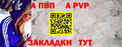 СК Тара