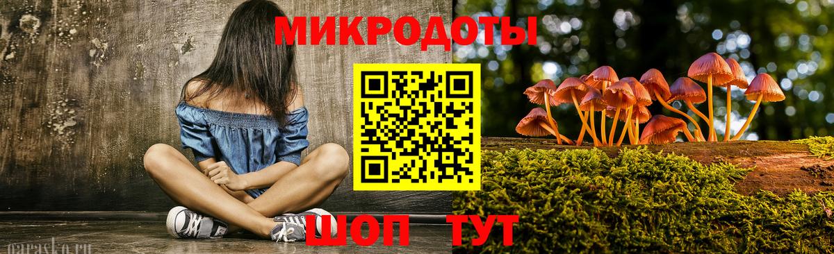 Нижнекамск  Псилоцибиновые грибы Cubensis  Вход с VPN 